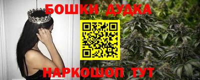 прущие грибы Гатчина