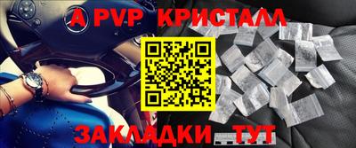 прущие грибы Гатчина