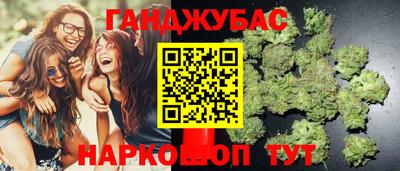 прущие грибы Гатчина