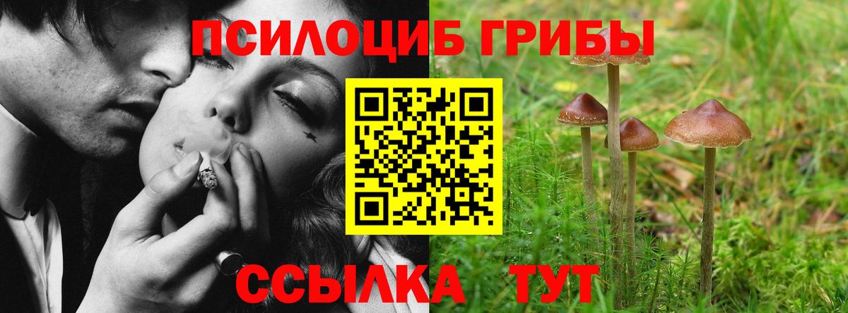 Галлюциногенные грибы мухоморы  Вход с VPN  Шелехов 